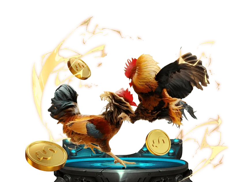 Phần thưởng hàng ngày và hoàn trả